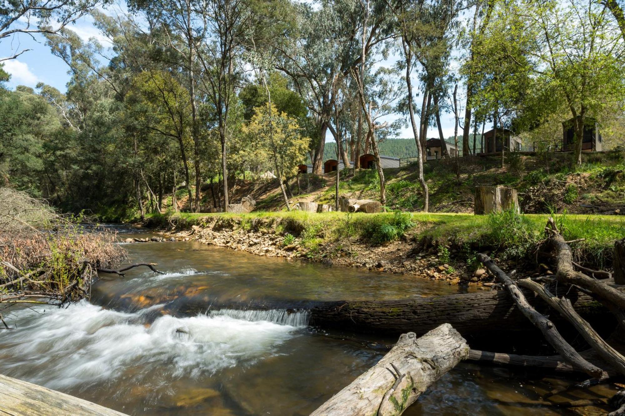 Bright Cabin Park Luaran gambar