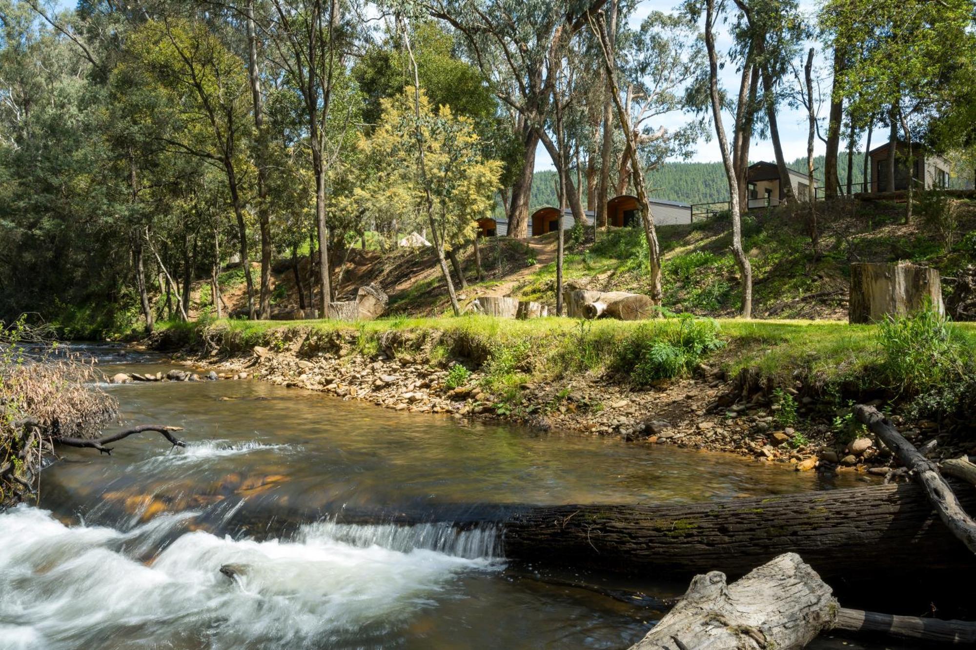 Bright Cabin Park Luaran gambar